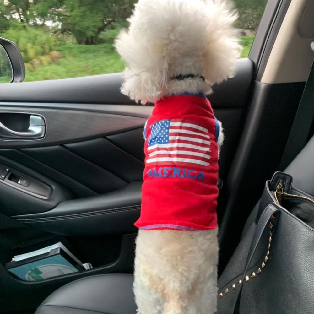 Meet your Posher, Rachelle